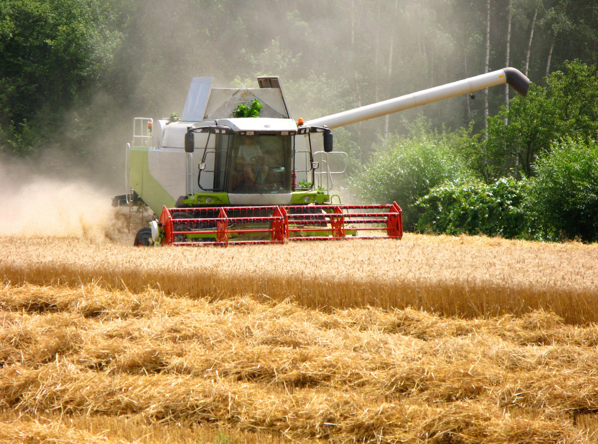 Digitalising Agricultural and Food Systems:  policy challenges and actions  for the sustainable transition in the EU