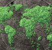 An Inconvenient truth: the narrow trade-off  between Equity and Climate Security 