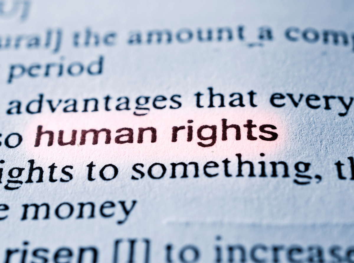 Comments on Federalism and the Rights of Persons with Disabilities ‘The intersection of International Law and the competences relating of PWD in federal systems’