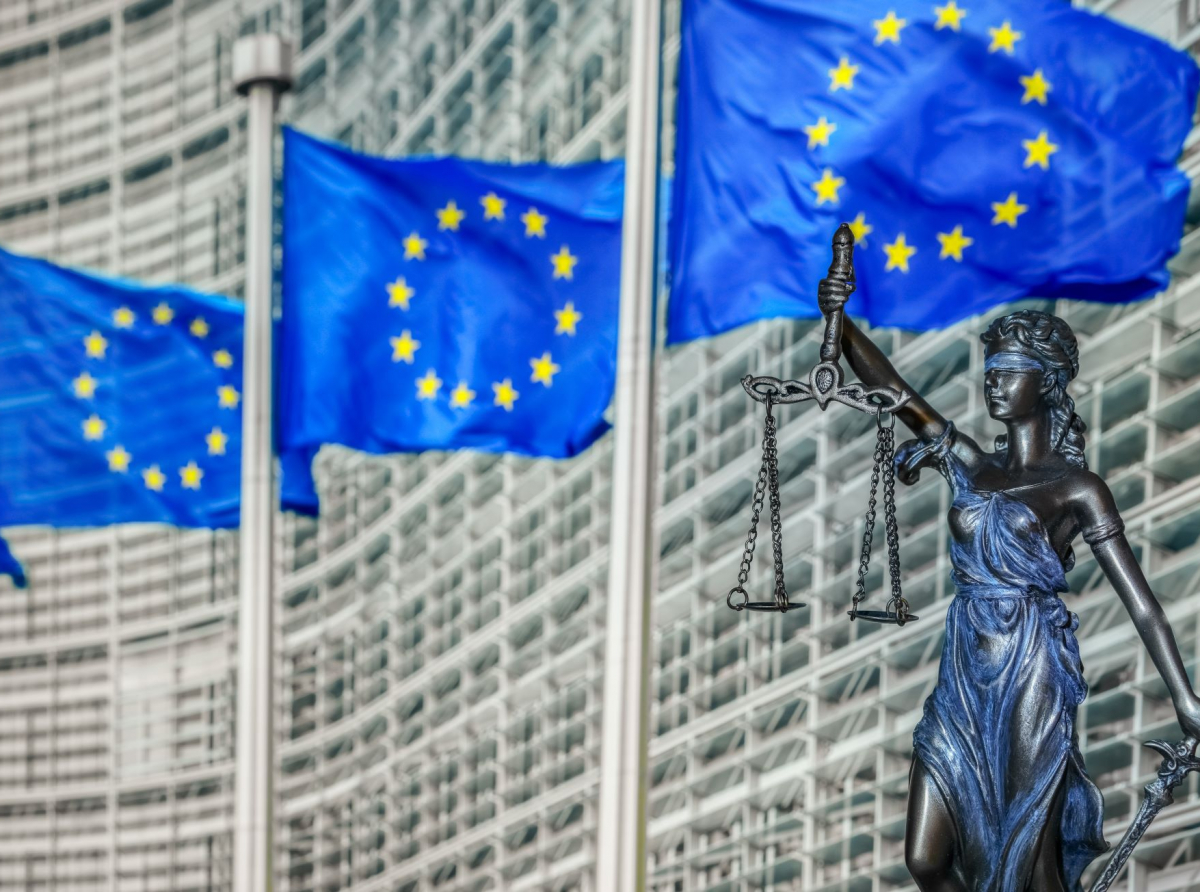 The European Union as a Form of  ‘Functional Federalism’